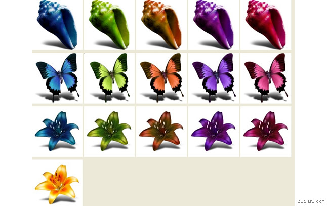 icones au format png sur le lambi / papillon lily
