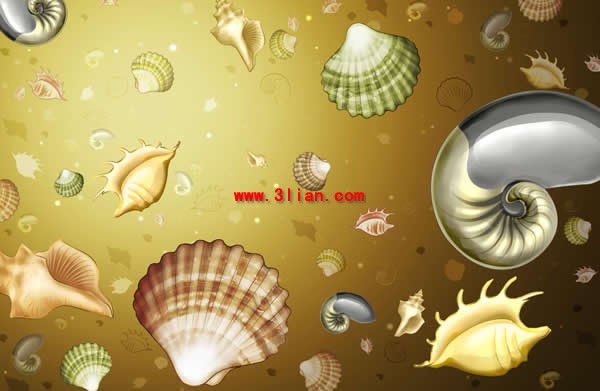 Conch Shell Hintergrund