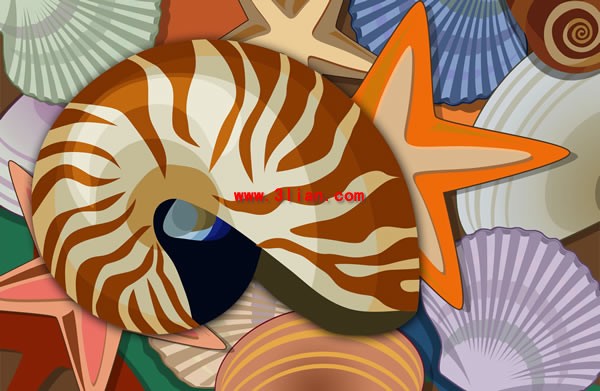 Conch Shells Psd Layered Material