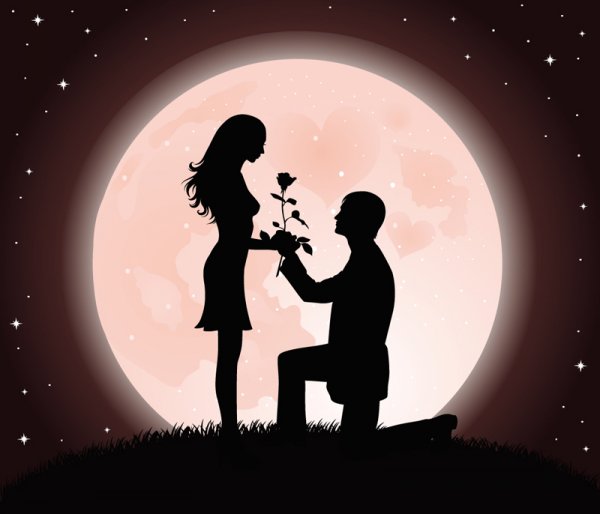 夫婦在月光下玫瑰素描