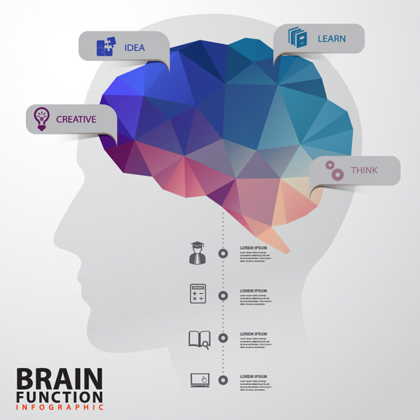 Creative Brain Function Information