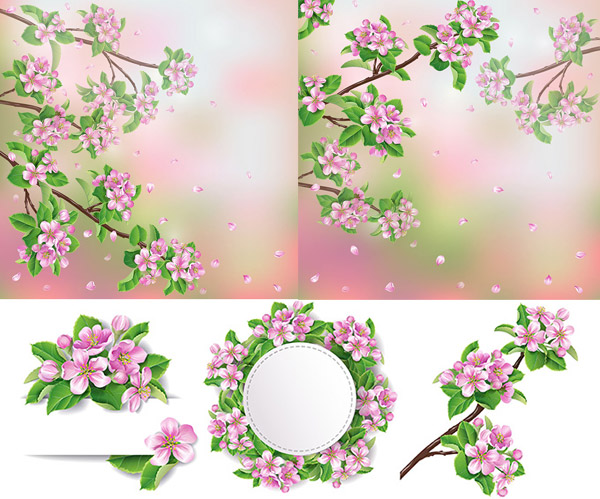 kreative Pfirsichblüten Hintergrund