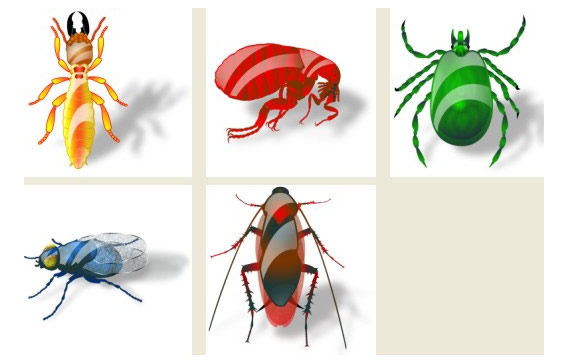Crystal Style Insect Png Icons
