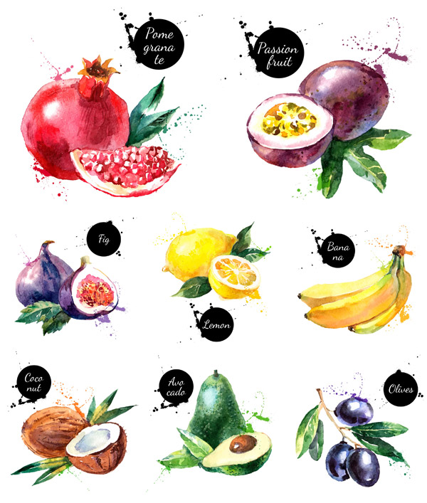 disegno deliziosi frutti