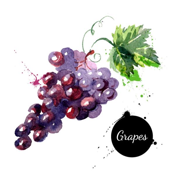 Delicious Grape Splash Watercolor