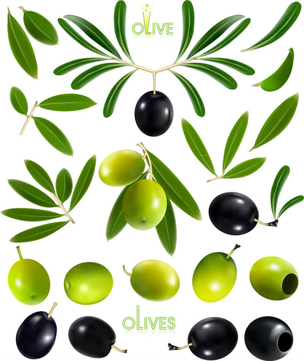 Gestaltung von Oliven und Olivenöl