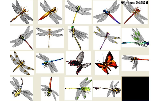 Dragonfly Psd Material