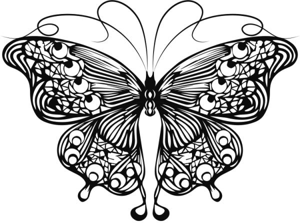 dibujo de mariposa negra