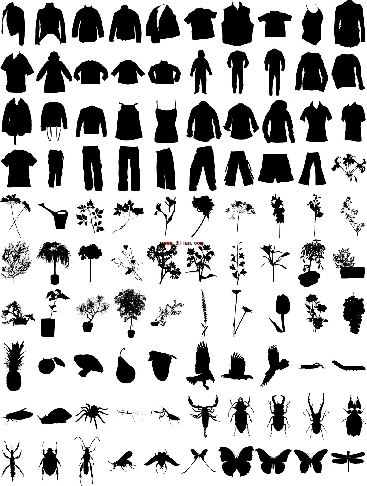 Dress Silhouette Flower Insect Collection
