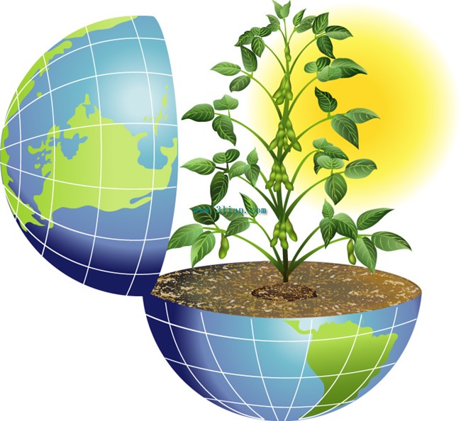 地球和綠色植物