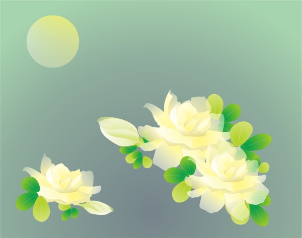 優雅的白色梔子花