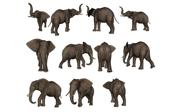 Elefant Material PNG-icons
