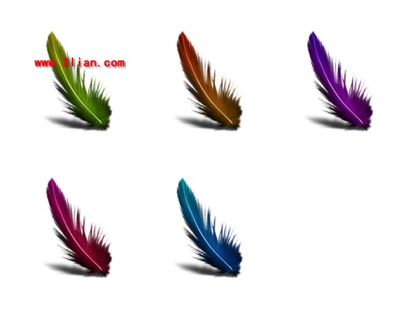 Feather Icon Photoshop Software
