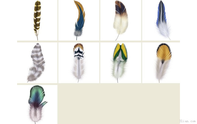 Feather Icon Png
