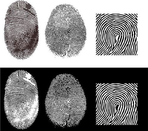 Fingerprints Fingerprints
