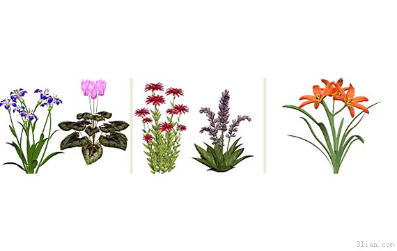 Flower Material Png