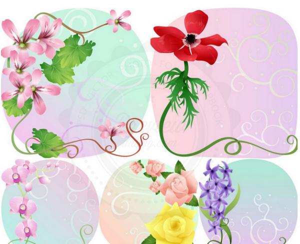 bordures décoratives de fleur vigne