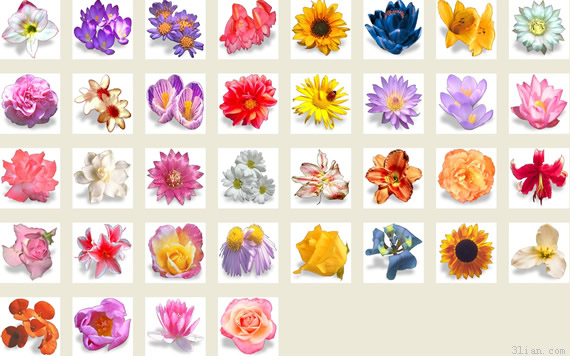 Blumen-Symbol png
