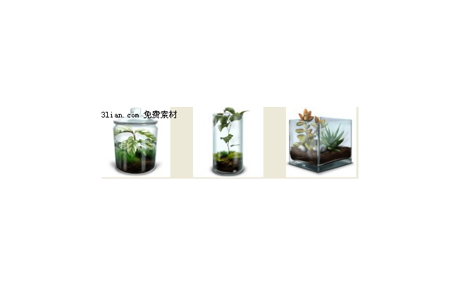 꽃 식물 아이콘 png
