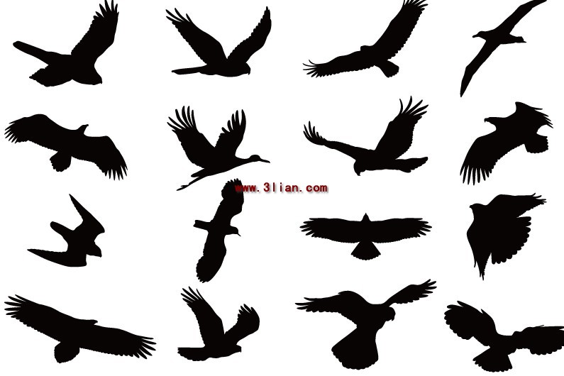 silhouettes d'oiseaux volants
