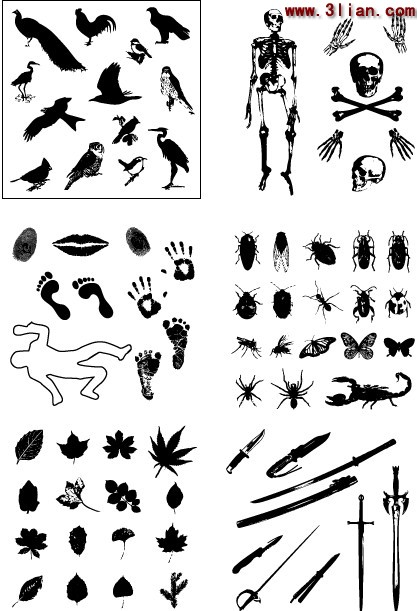 足迹手印植物剪影鸟昆虫骨结构材料 足迹手印植物剪影鸟昆虫骨结构材料