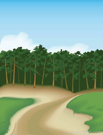 paisagem da floresta