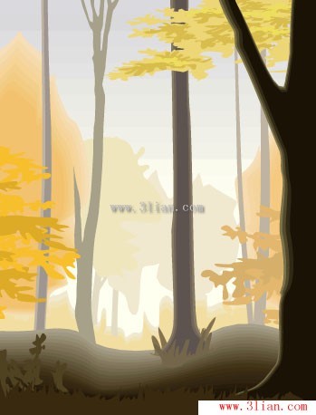 paesaggio della foresta