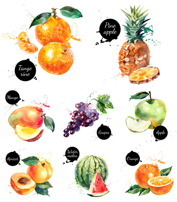 progettazione di frutta fresca