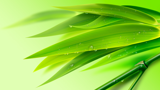 新鮮的綠色竹子 psd 素材