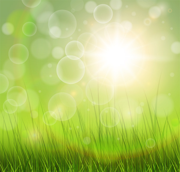 grama verde fresca e origens de luz do sol