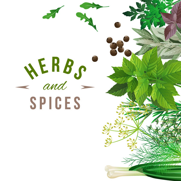 Image result for free image of fresh herbs and spices