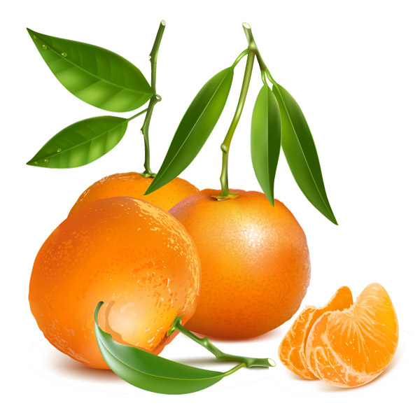 新鮮なオレンジ デザイン