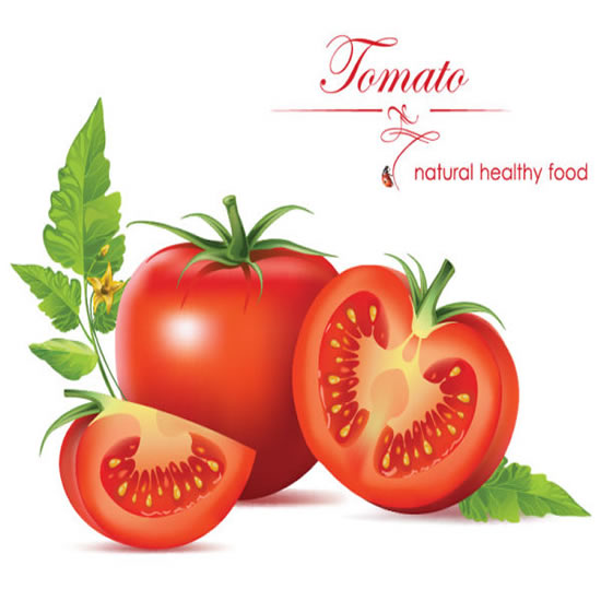 新鮮なトマト