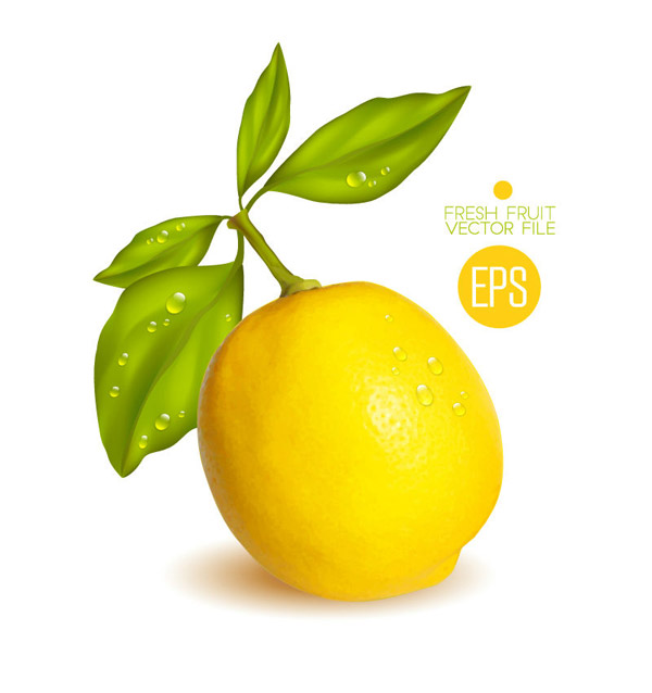 lemon kuning segar