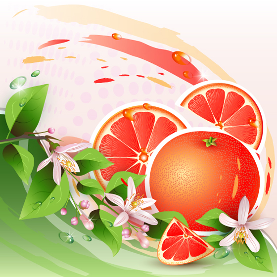 Trái cây tươi nền.Slices của tráiẢnh có sẵn566805751 | Shutterstock