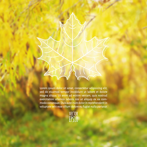 Fuzzy Autumn Leaves Background
