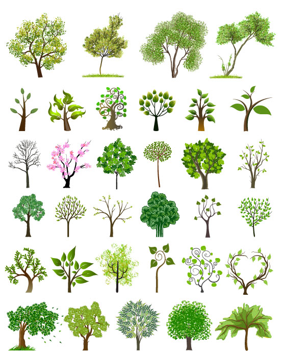 Растения садовые деревья