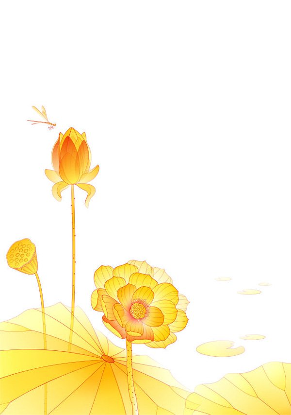 Golden lotus profil gradien