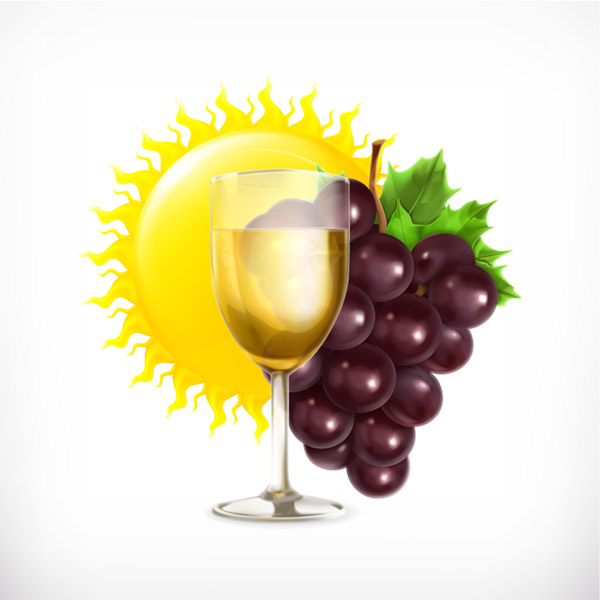 diseño de la uva y el vino