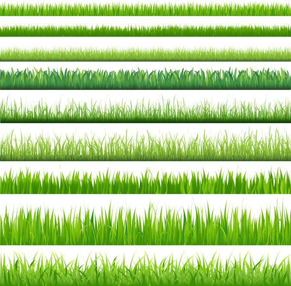 ลูกไม้สีเขียว grass