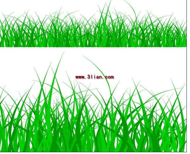 Grass Plant Materials