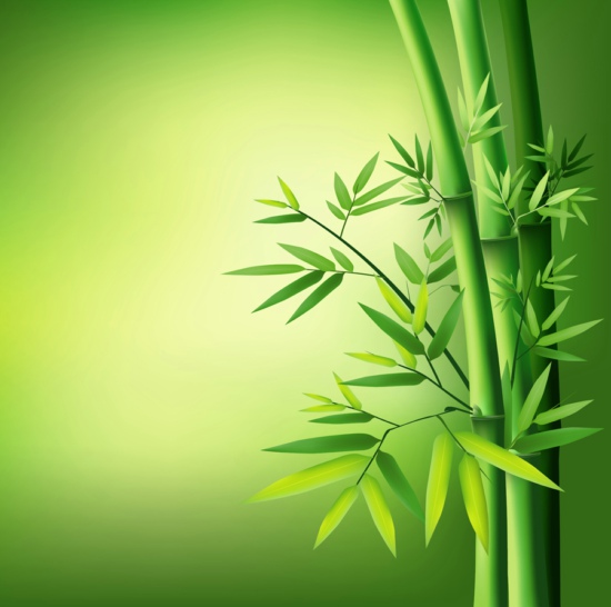 Grüner Bambus