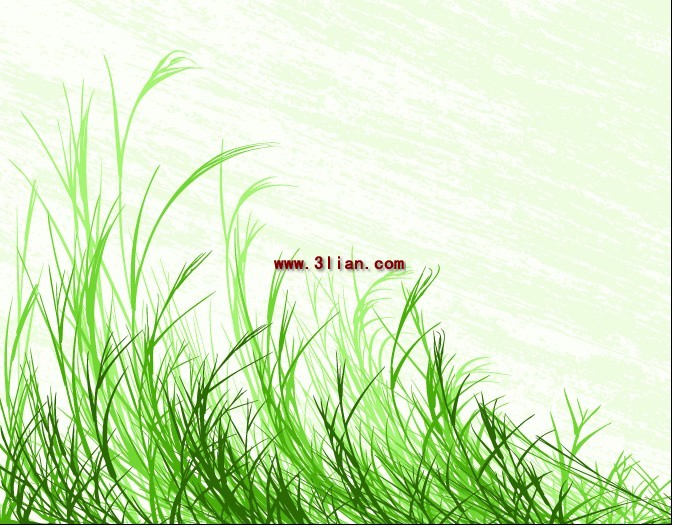 緑の芝生