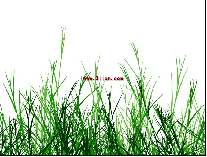 grüne Gras