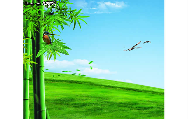 緑の芝生草竹 psd 素材