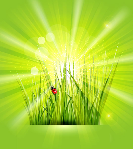 綠色瓢蟲陽光背景