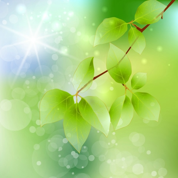 Green Leaf Background Psd Material