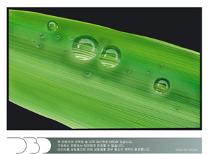 Green Leaf Beads