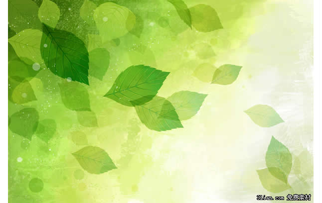 Green Leaf Psd Material