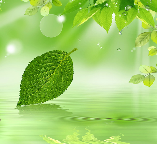 Green Leaf Watermark Background Psd Material